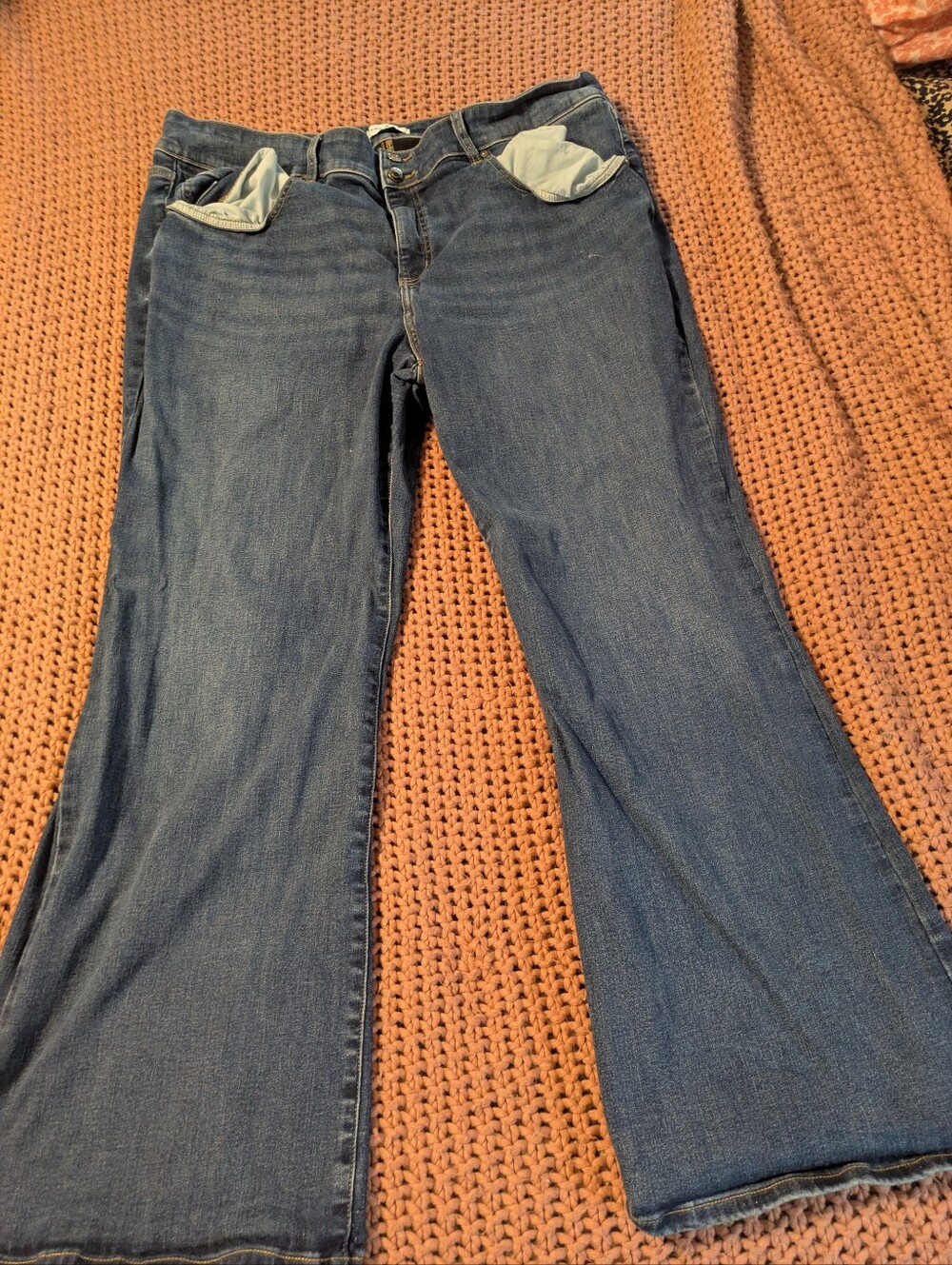 Lane Bryant Jeans